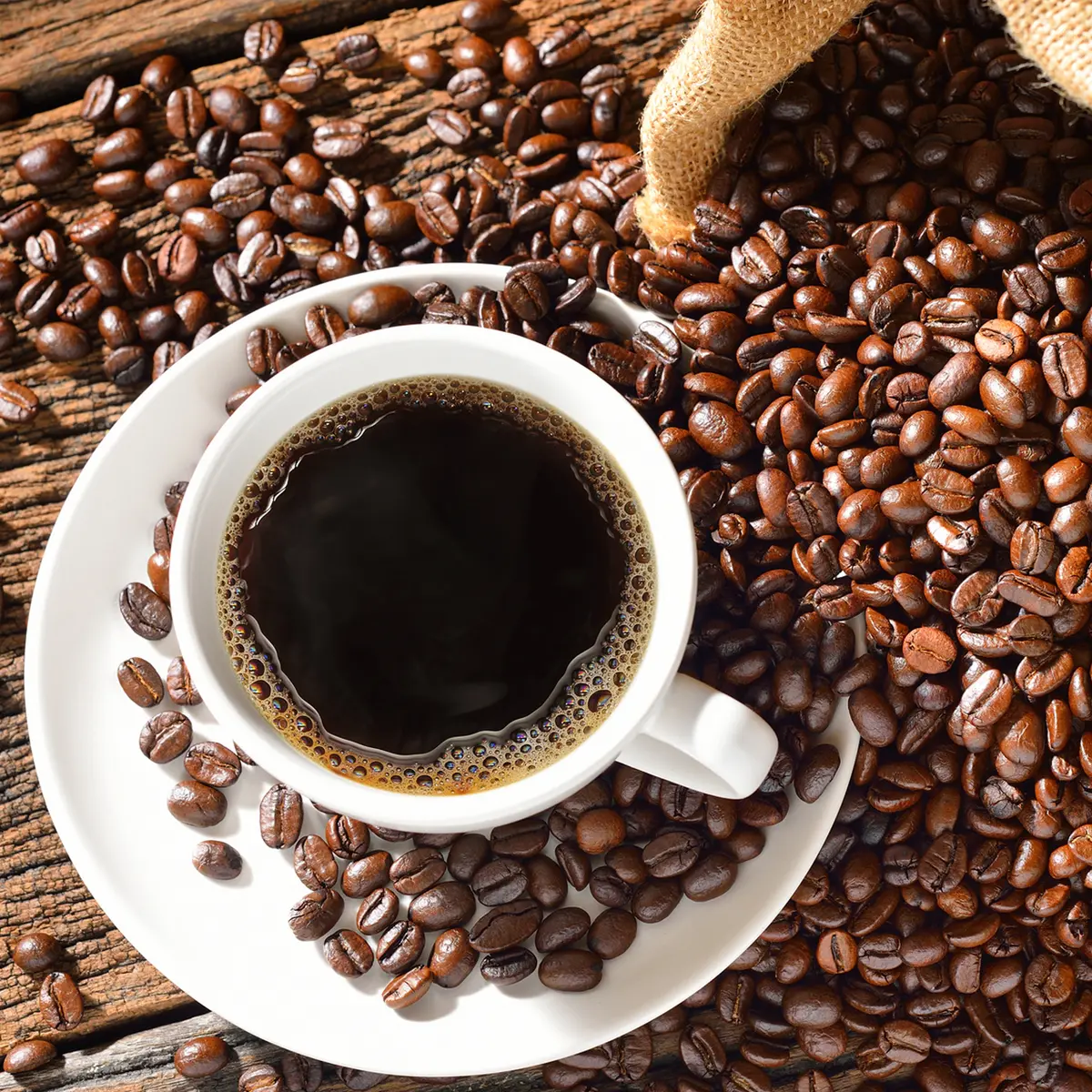 Kenali Kopi Arabika Terlezat, Favorit Para Pecinta Kopi